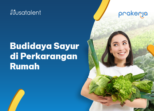 Budidaya Sayur di Pekarangan Rumah